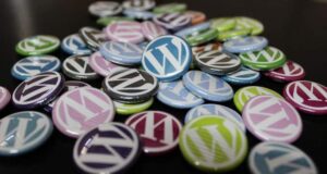 choosing wordpress theme