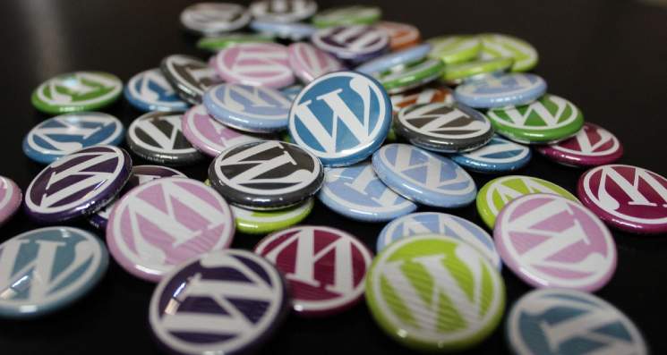 choosing wordpress theme
