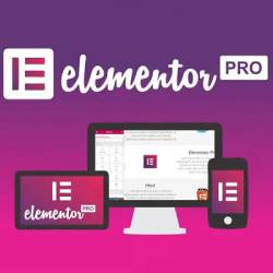 elementor pro